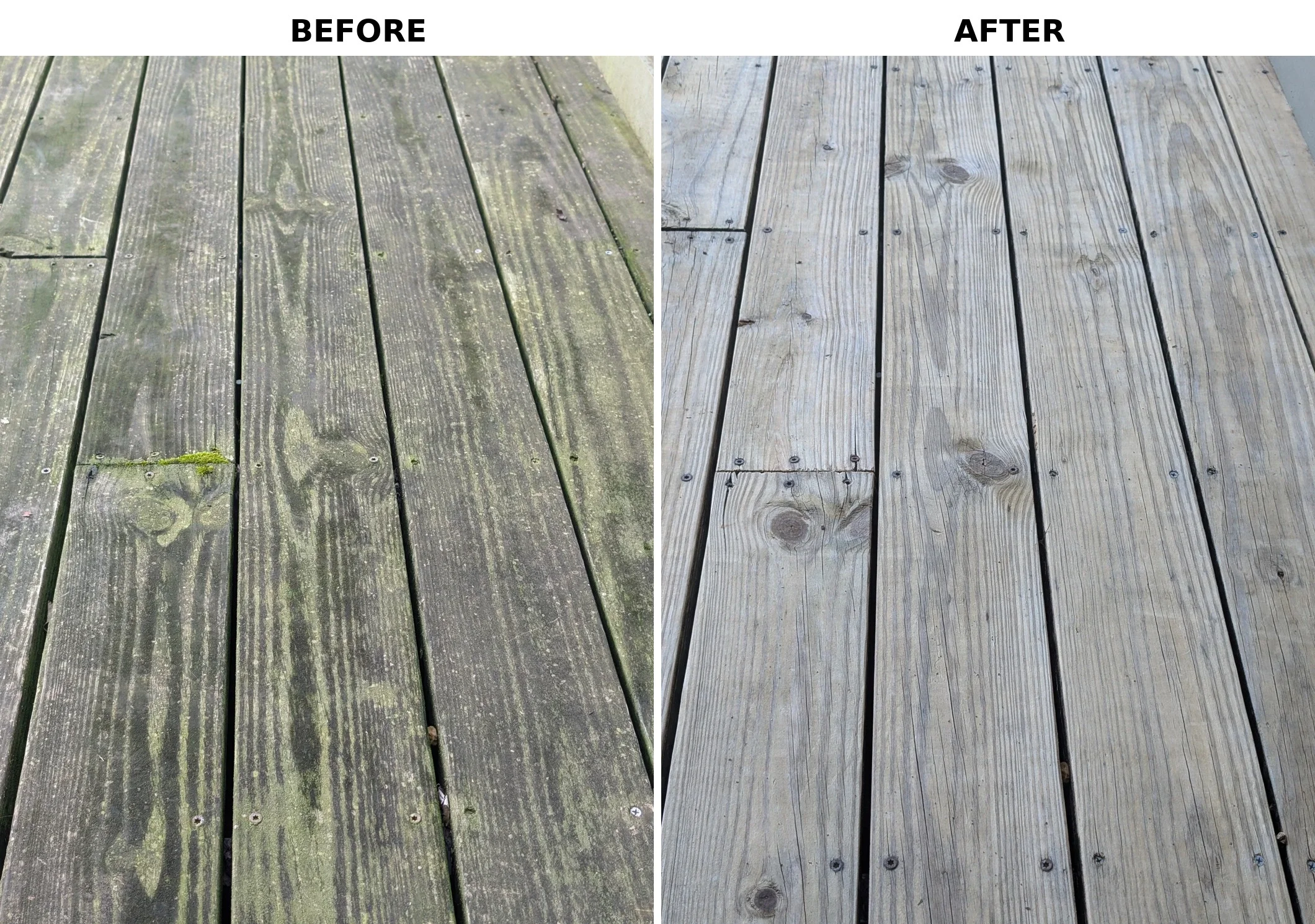 Close-up of algae and mildew buildup on deck boards before cleaning, compared to the same boards after