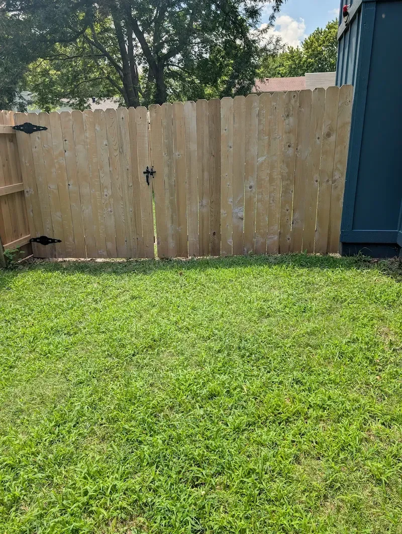 Clean wood fence and gate showing natural wood tone after a soft wash, no staining required
