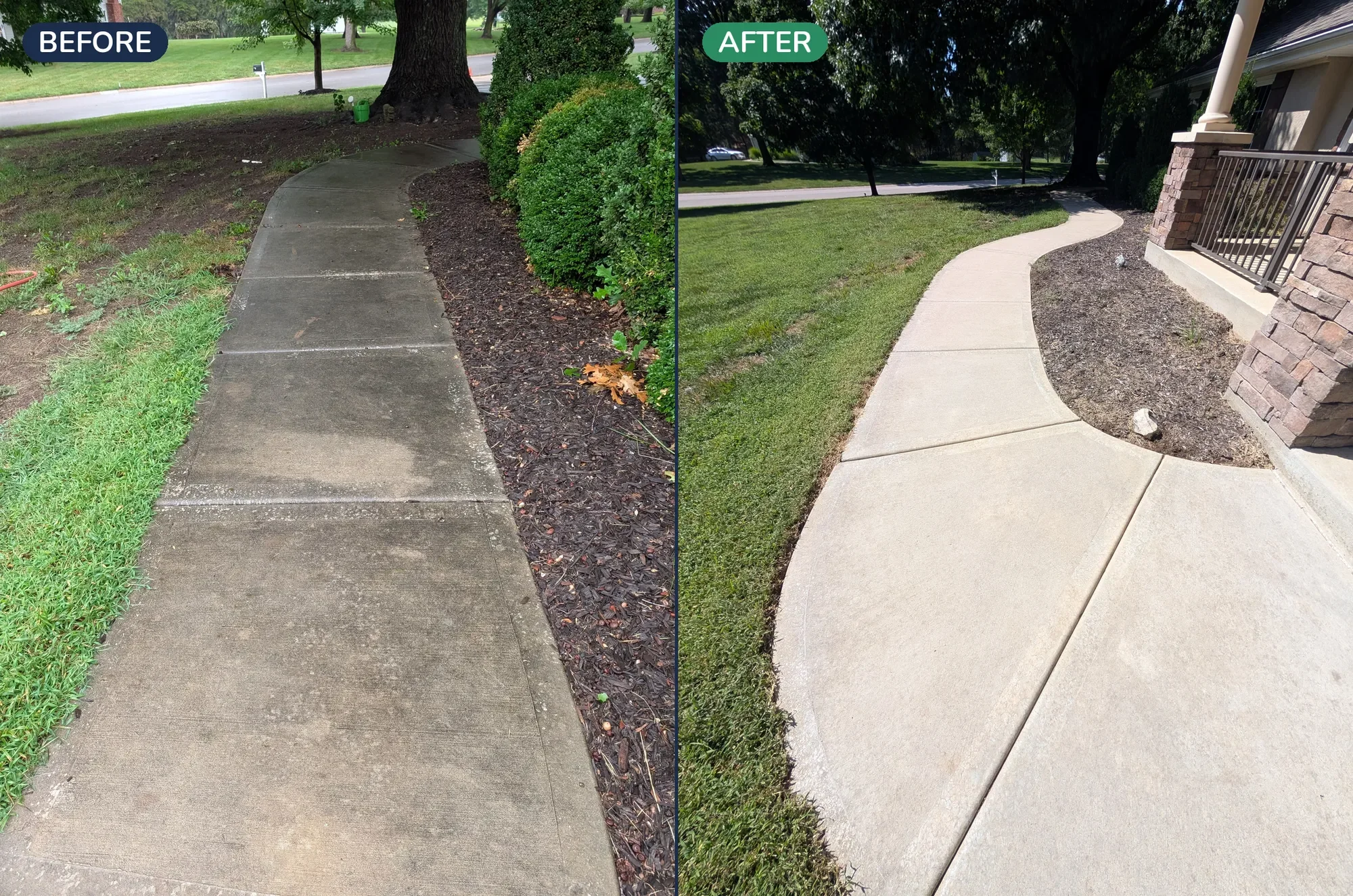 Before and after walkway cleaning showing dirty, algae-stained concrete transformed to clean, bright pathway.
