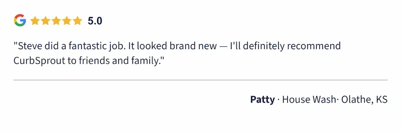 Patty 5-star Google review — house wash · Olathe, KS