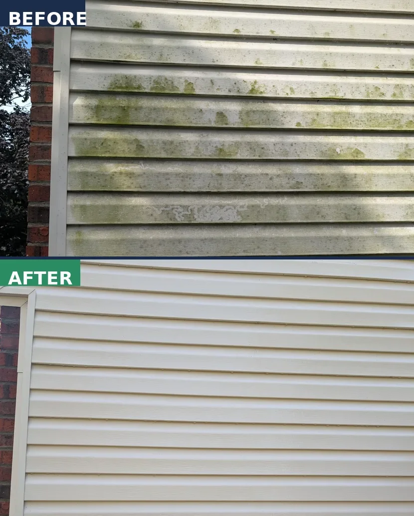 Before and after of vinyl siding soft washed by CurbSprout — heavy green algae and mildew removed from a Johnson County home without pressure washing