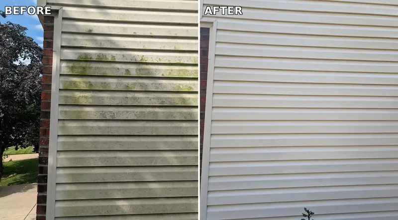Siding before and after fall soft washing in Johnson County KS, algae and mildew streaking removed