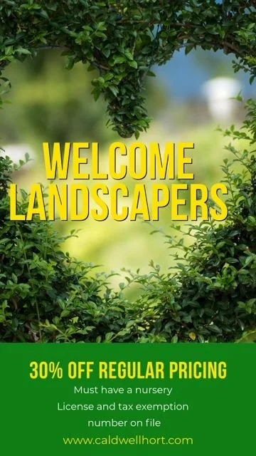 LANDSCAPERS