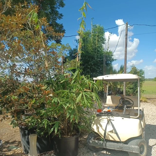 image000000.jpg