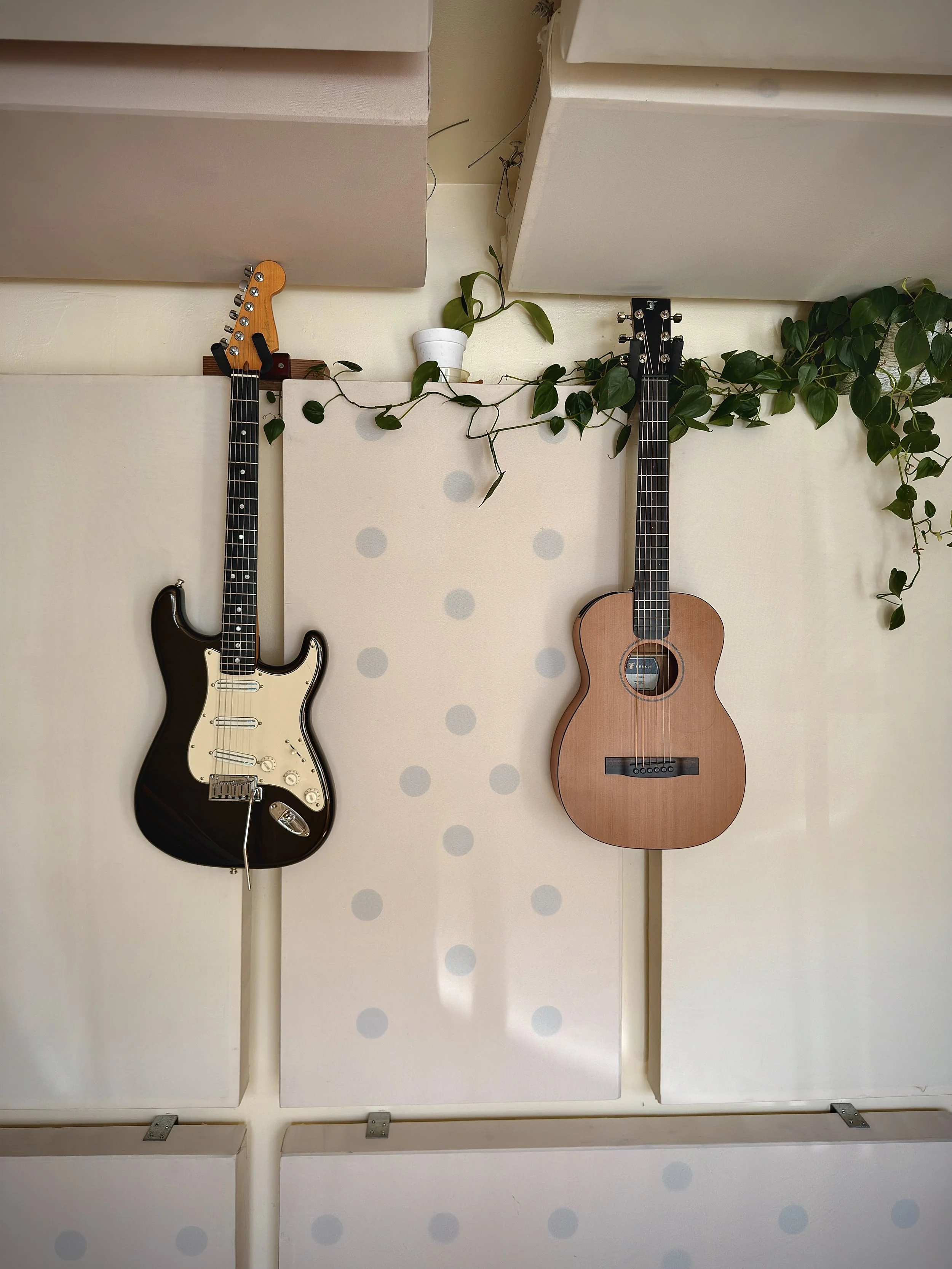 Two guitars hanging on a beige wall, one electric guitar on the left and one acoustic guitar on the right, with a vine plant and a small potted plant in the middle above them.
