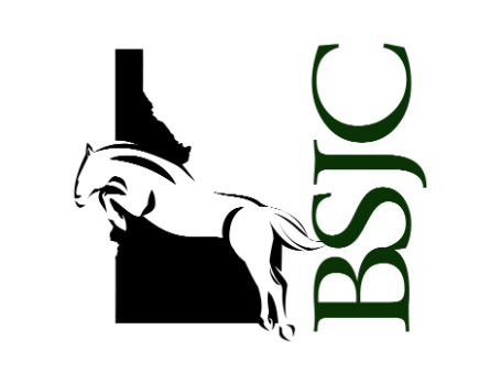 BSJC Schooling Show III