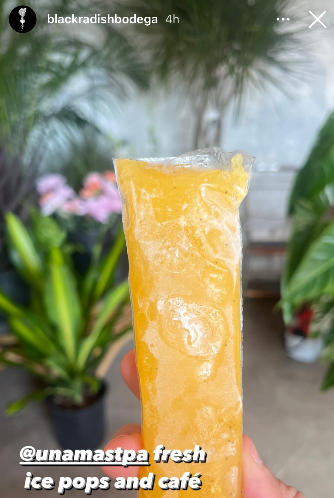 Passion fruit boli sold at Una Más pop-ups in Tampa