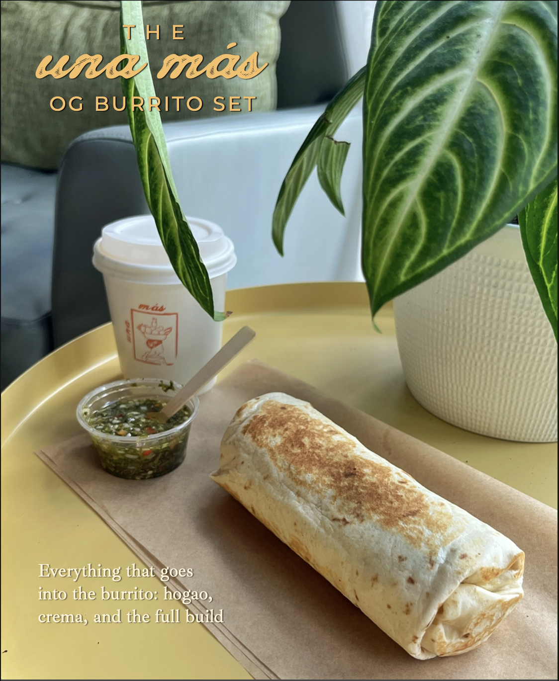 Close-up of a burrito, salsa in a small container with a wooden spoon, and a takeout coffee cup on a yellow tray, with a green potted plant in the background.