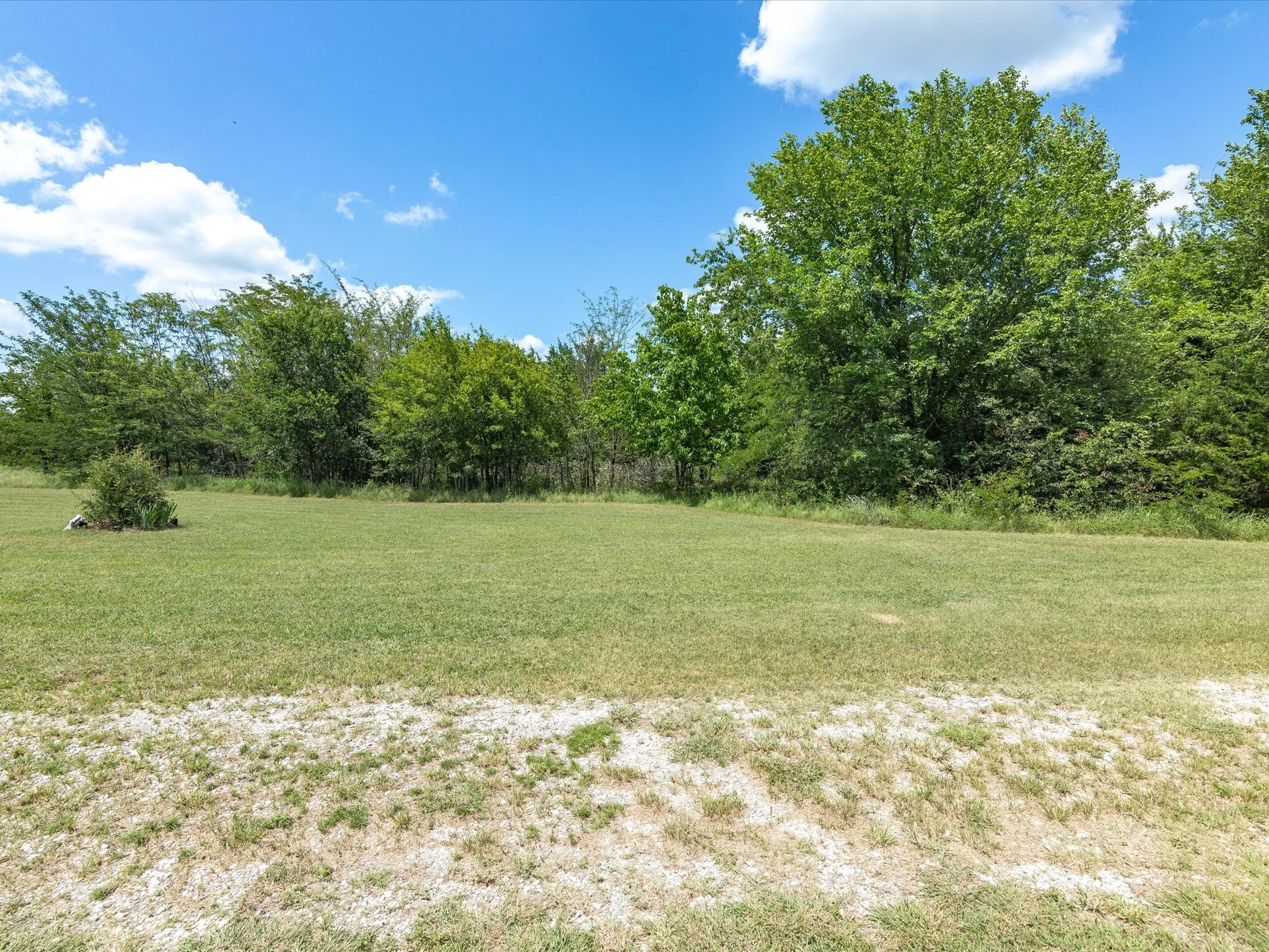 Open grassy field with a patch of bare soil in the foreground, surrounded by green trees and bushes under a bright blue sky with scattered white clouds.