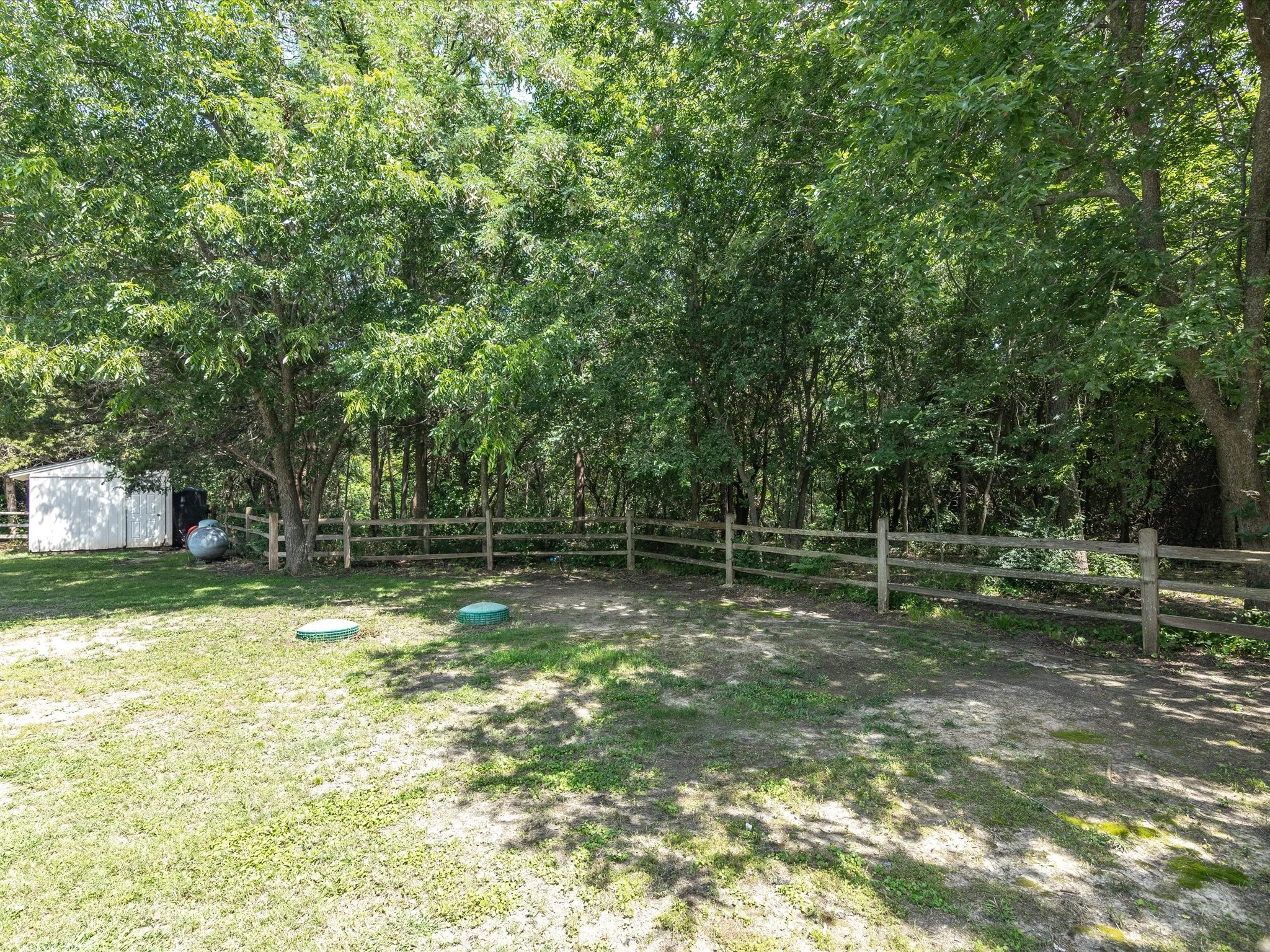 A backyard with tall green trees, a white shed, a wooden fence, and a grassy ground with some objects, including propane tanks and a blue container.