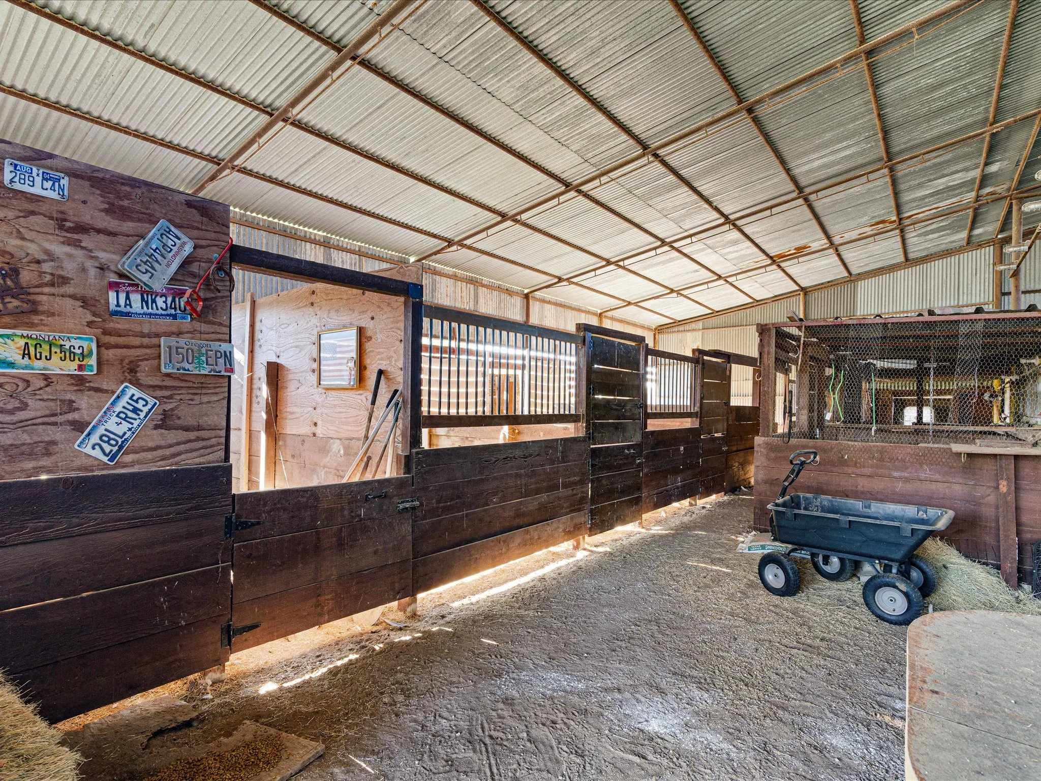 Interior of a barn showing a corrugated metal roof, wooden walls with license plates, and a wheelbarrow filled with hay.
