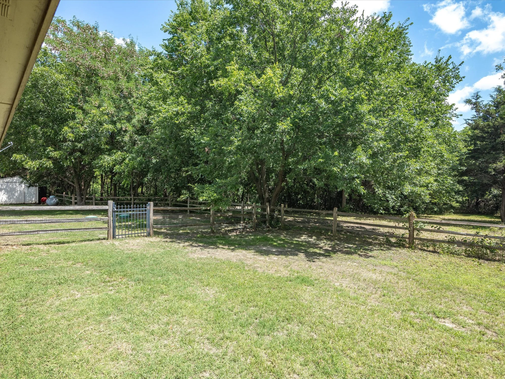 A backyard scene with lush green trees, a small fenced area, and a grassy lawn under a partly cloudy sky.