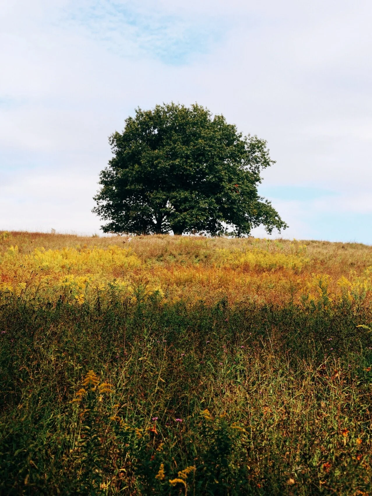Hidden Gems: Schunnemunk Mountain