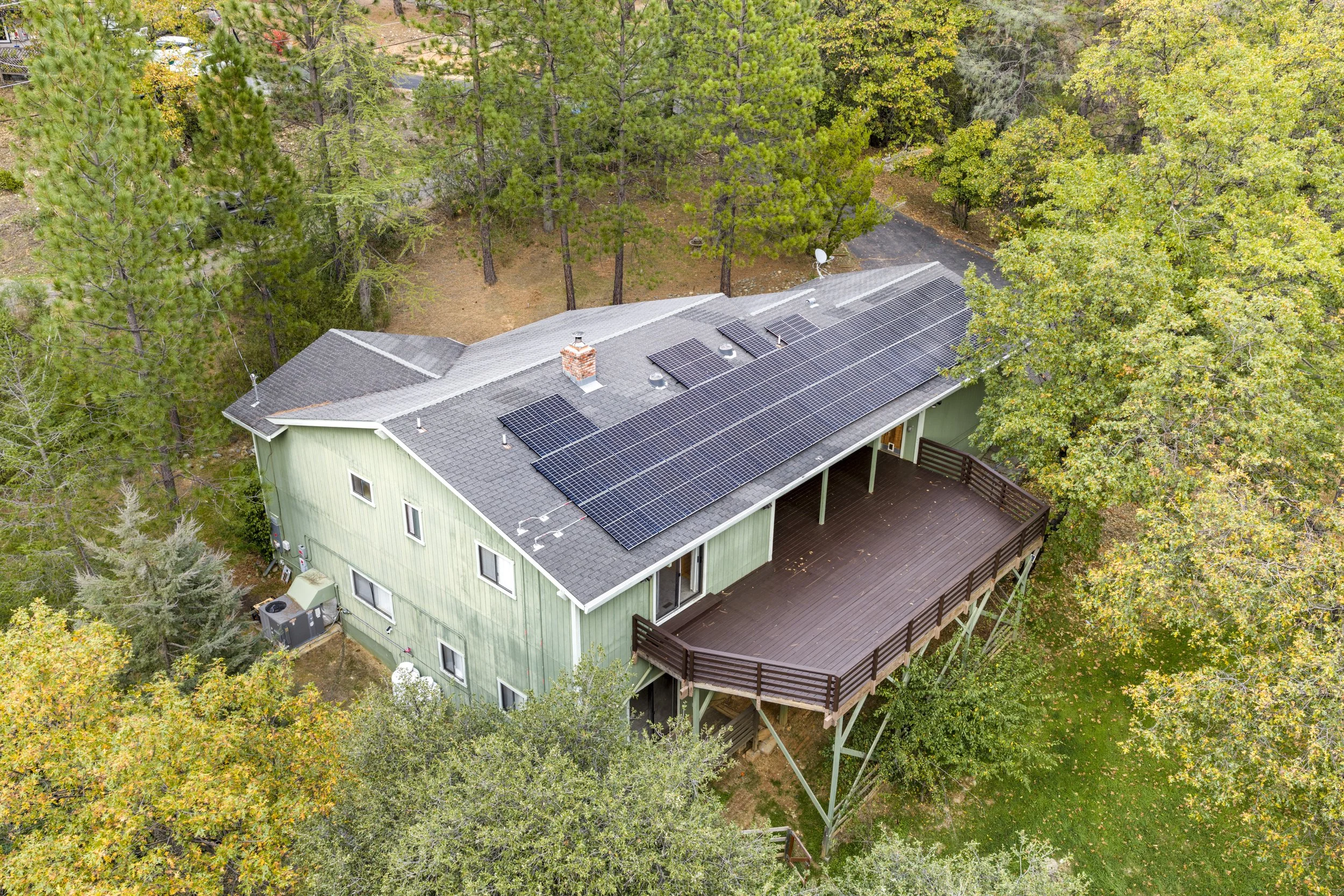 A green house with a large array of solar panels on the roof, surrounded by a dense forest with tall trees and autumn foliage.