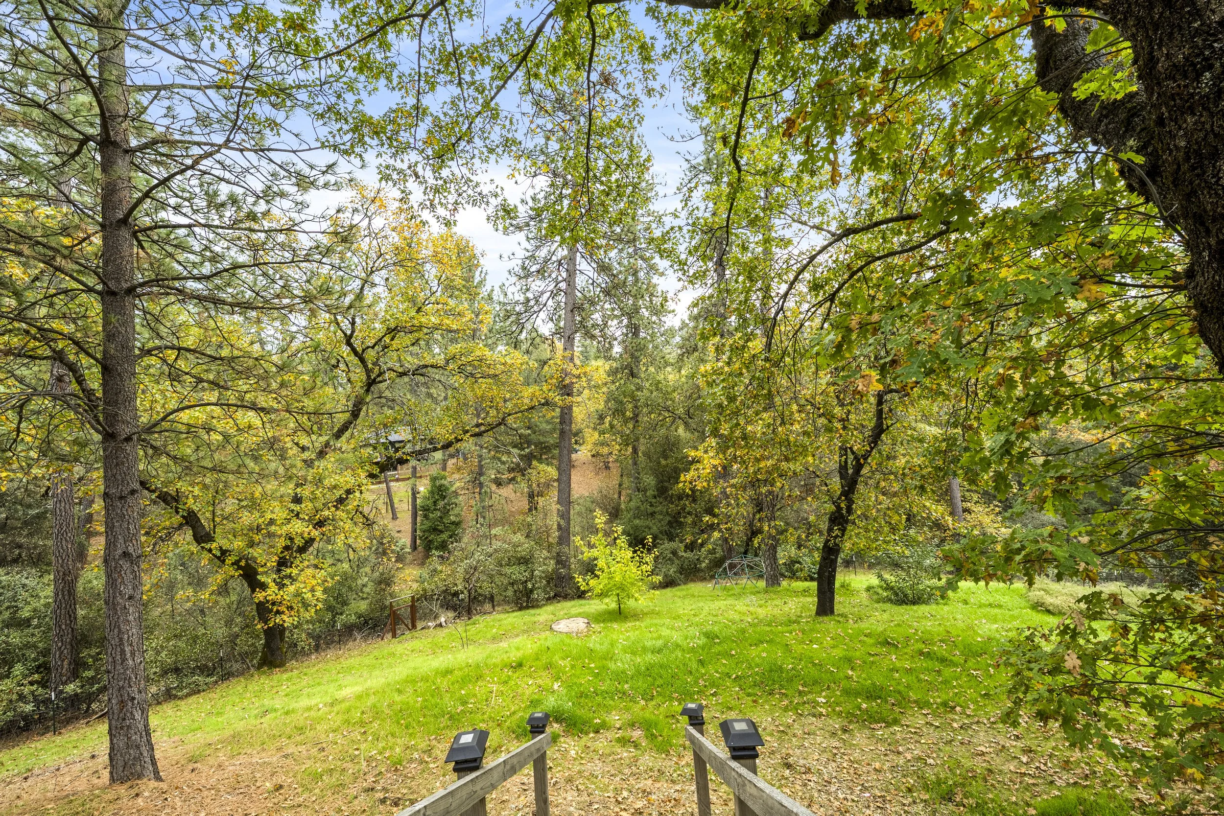 A backyard with a grassy area and trees, viewed from a porch with steps and small outdoor lights.