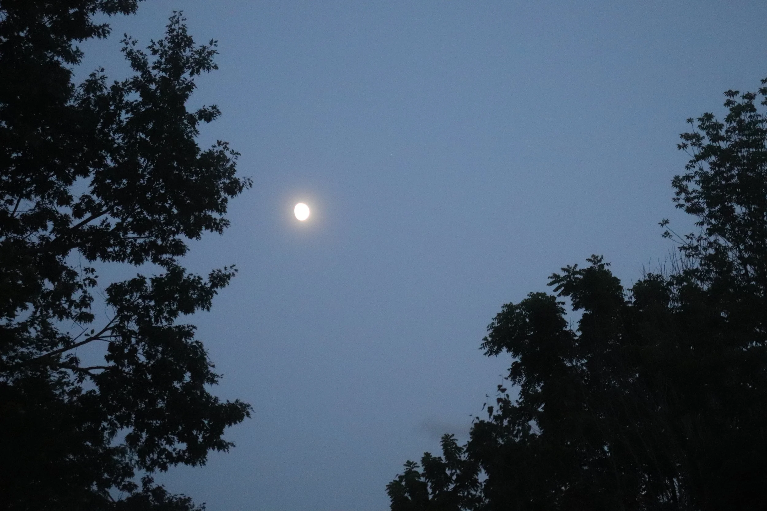 IMG_4472.JPG