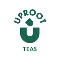 logo10.png