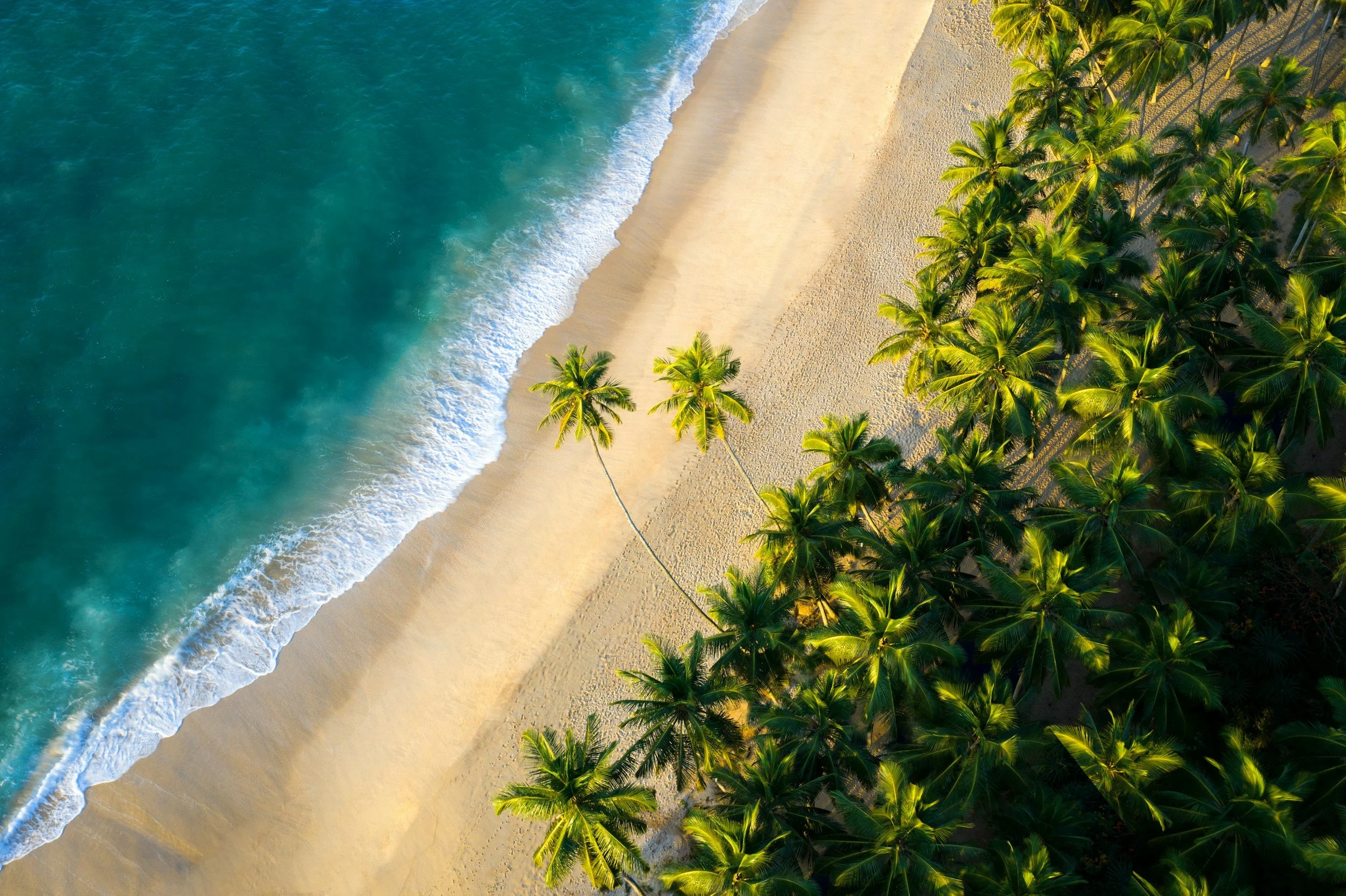 The Ultimate Guide to Wellness Tours in Sri Lanka