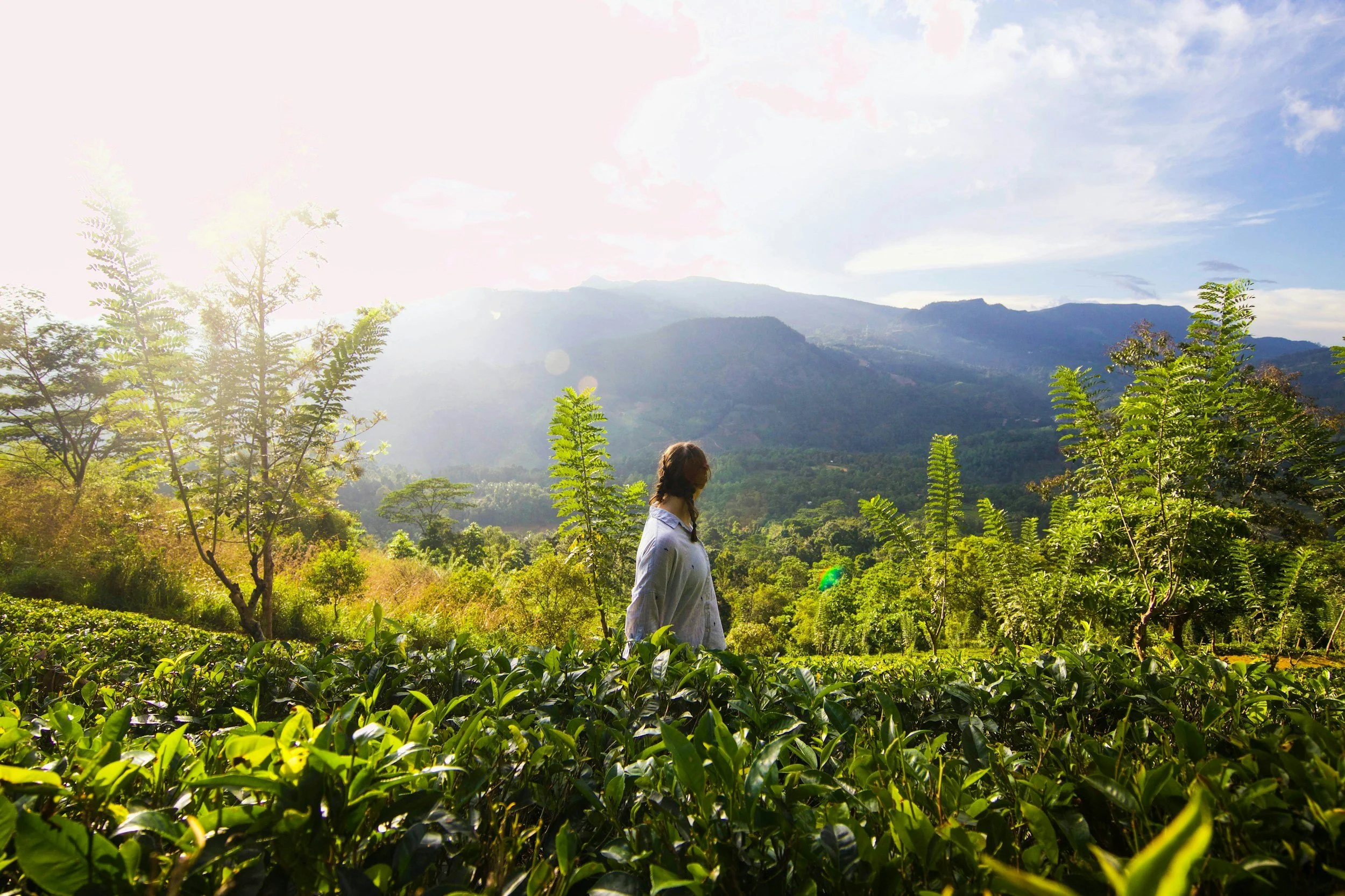 Yoga &amp; Meditation Tours in Sri Lanka: A Guide for Women Who Want More Than a Holiday