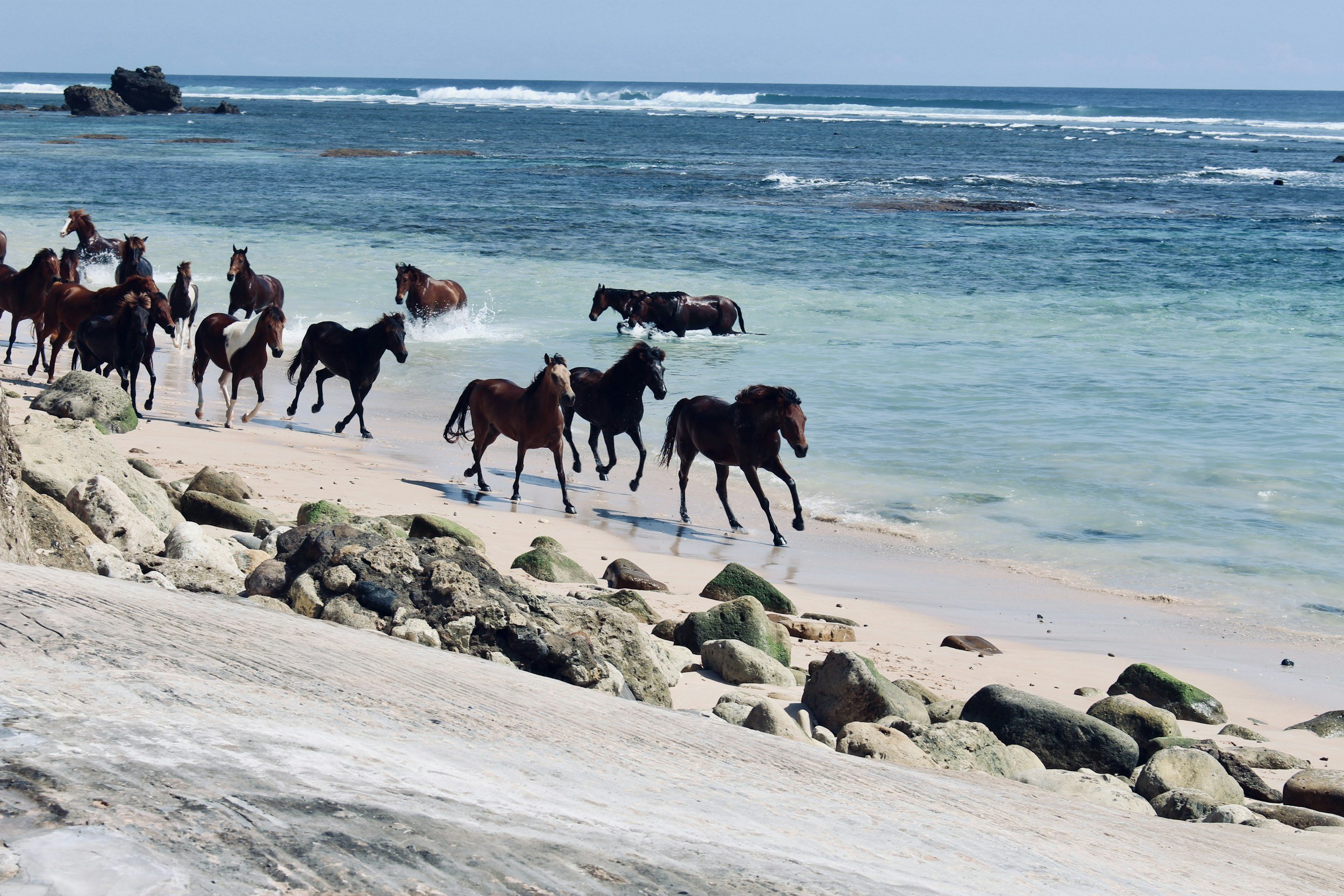 Pilates Retreat in Sumba: What to Know Before You Book