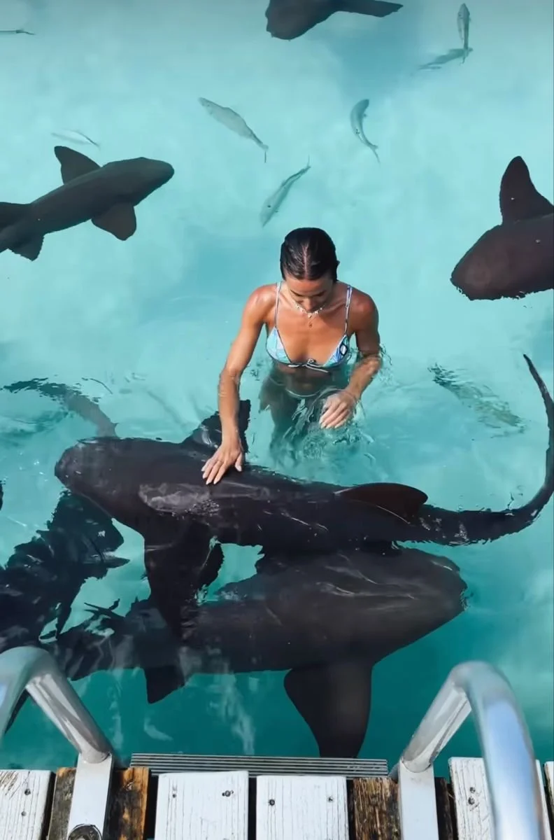 A woman in swimwear standing waist-deep in pool surrounded by large black fish.