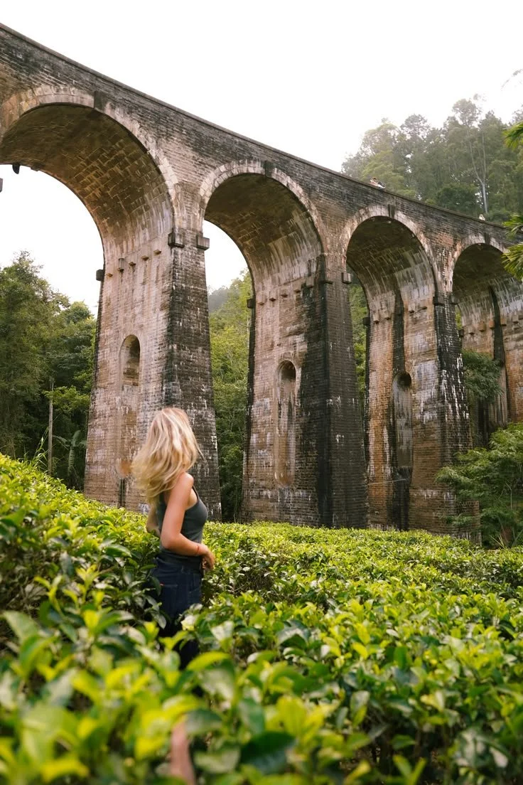 Nine Arches Bridge - Sri Lanka.jpeg