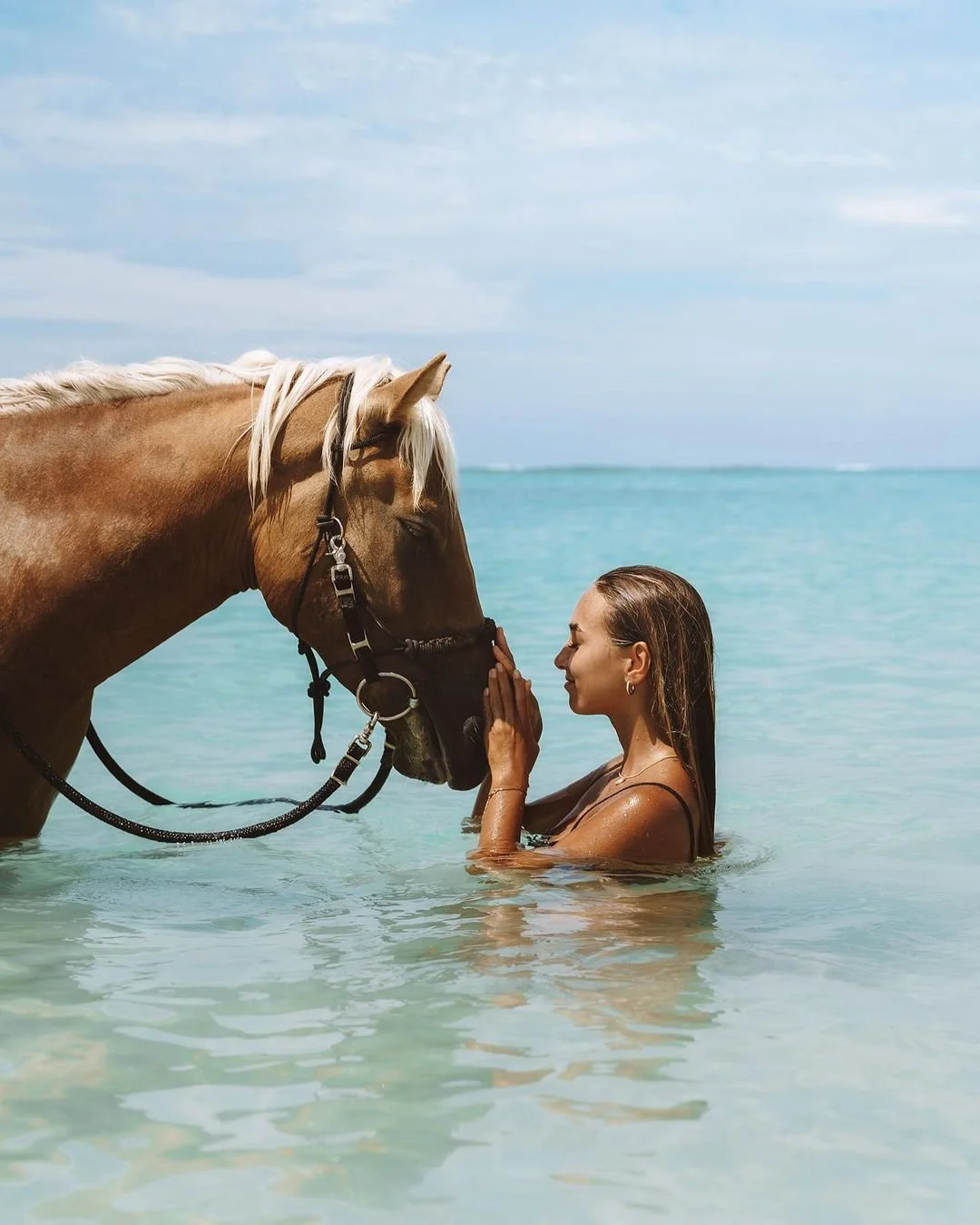 swimming with horses retreat sumba
