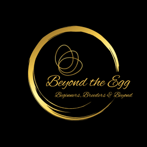 Beyond the Egg