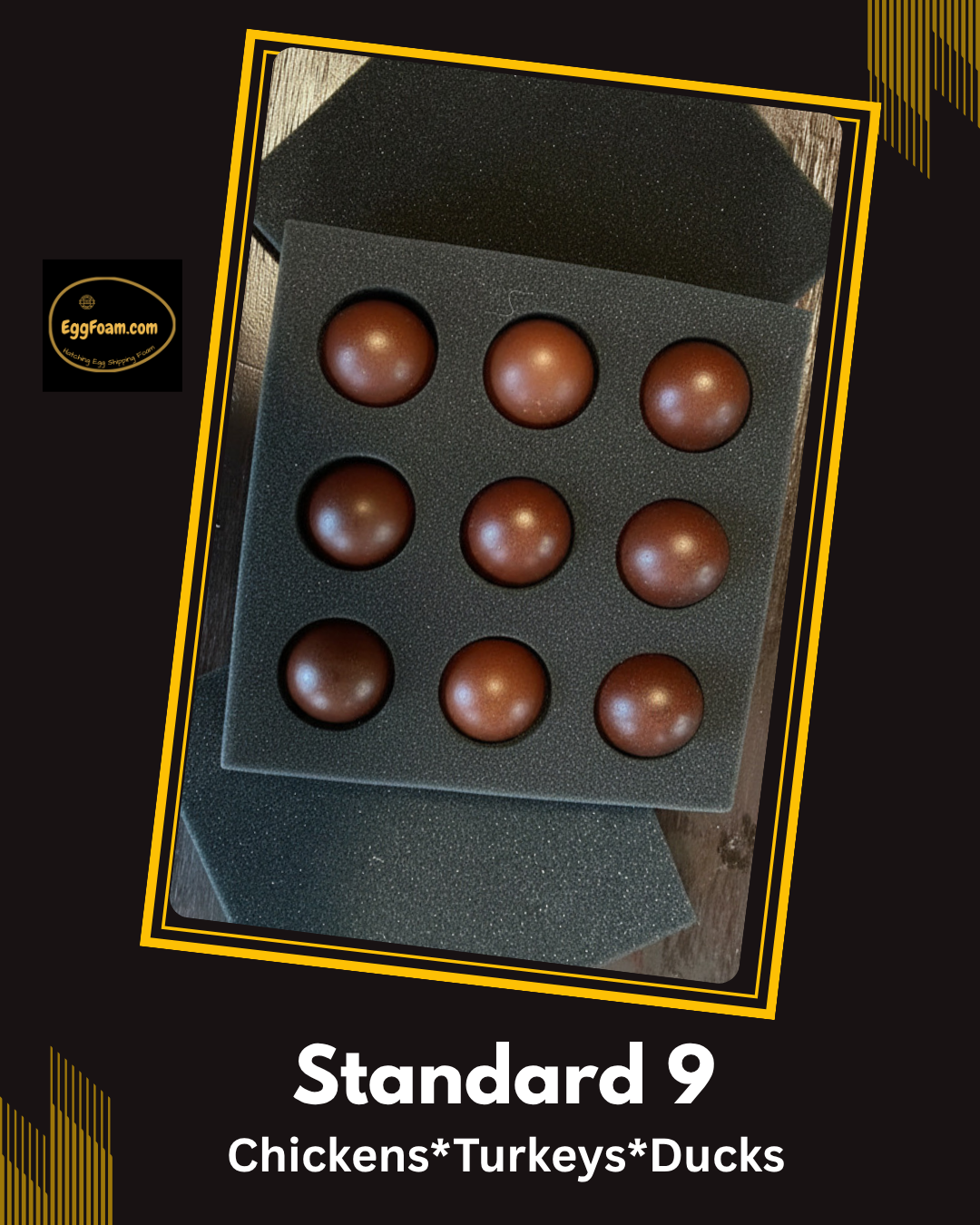 EggFoam™ 9 Hole Chicken Egg Shipper Set With Pads