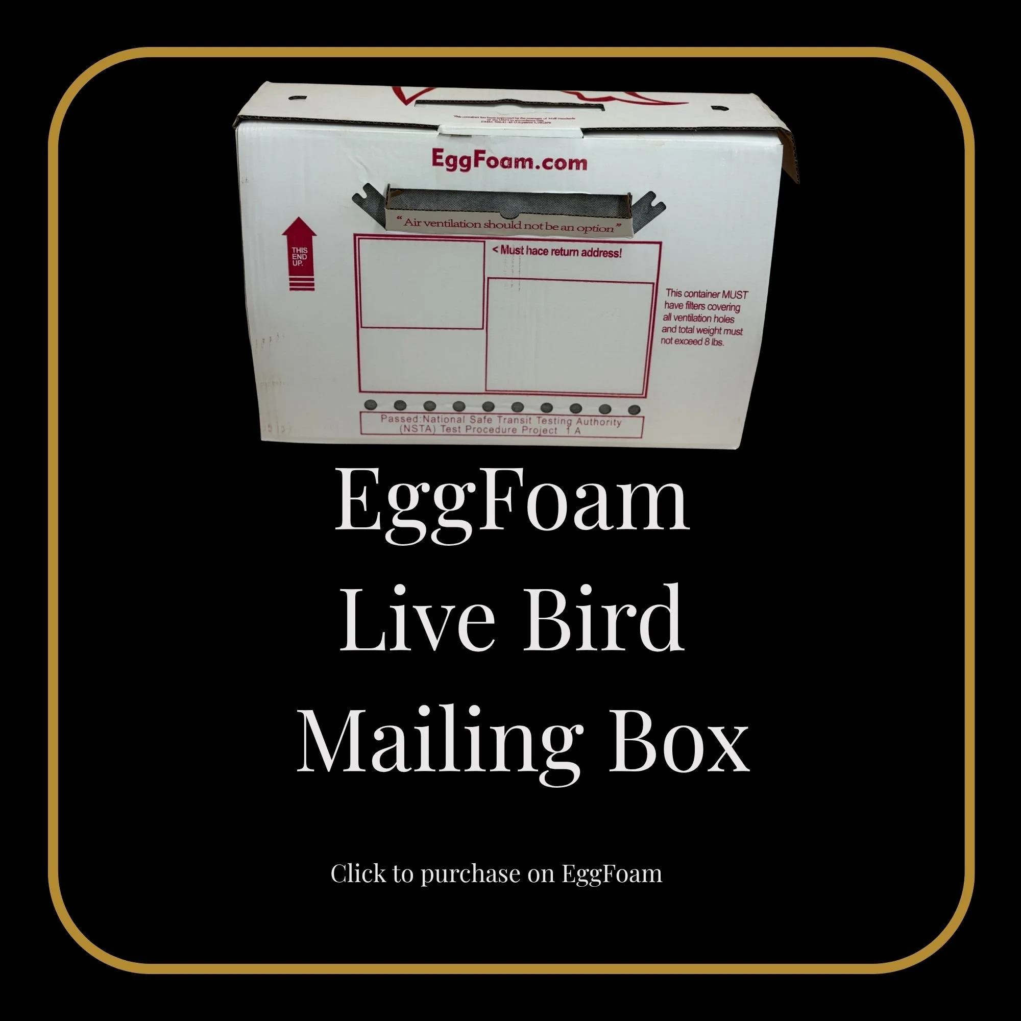 Live Bird Shipping Box 