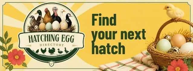 Find your next hatch with Hatching Egg Directory.