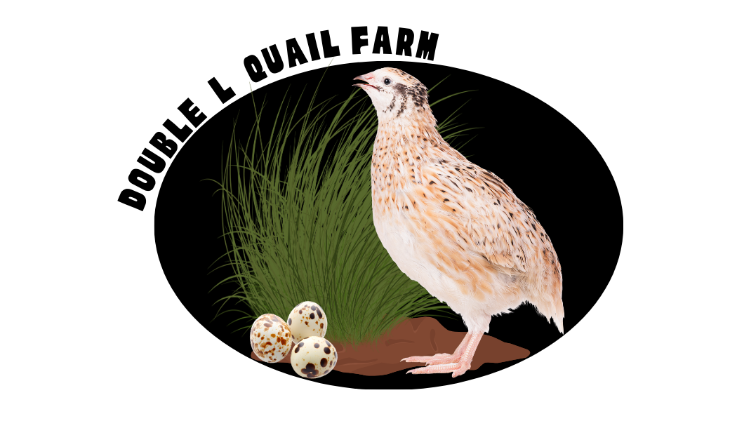 Double L Quail Farm