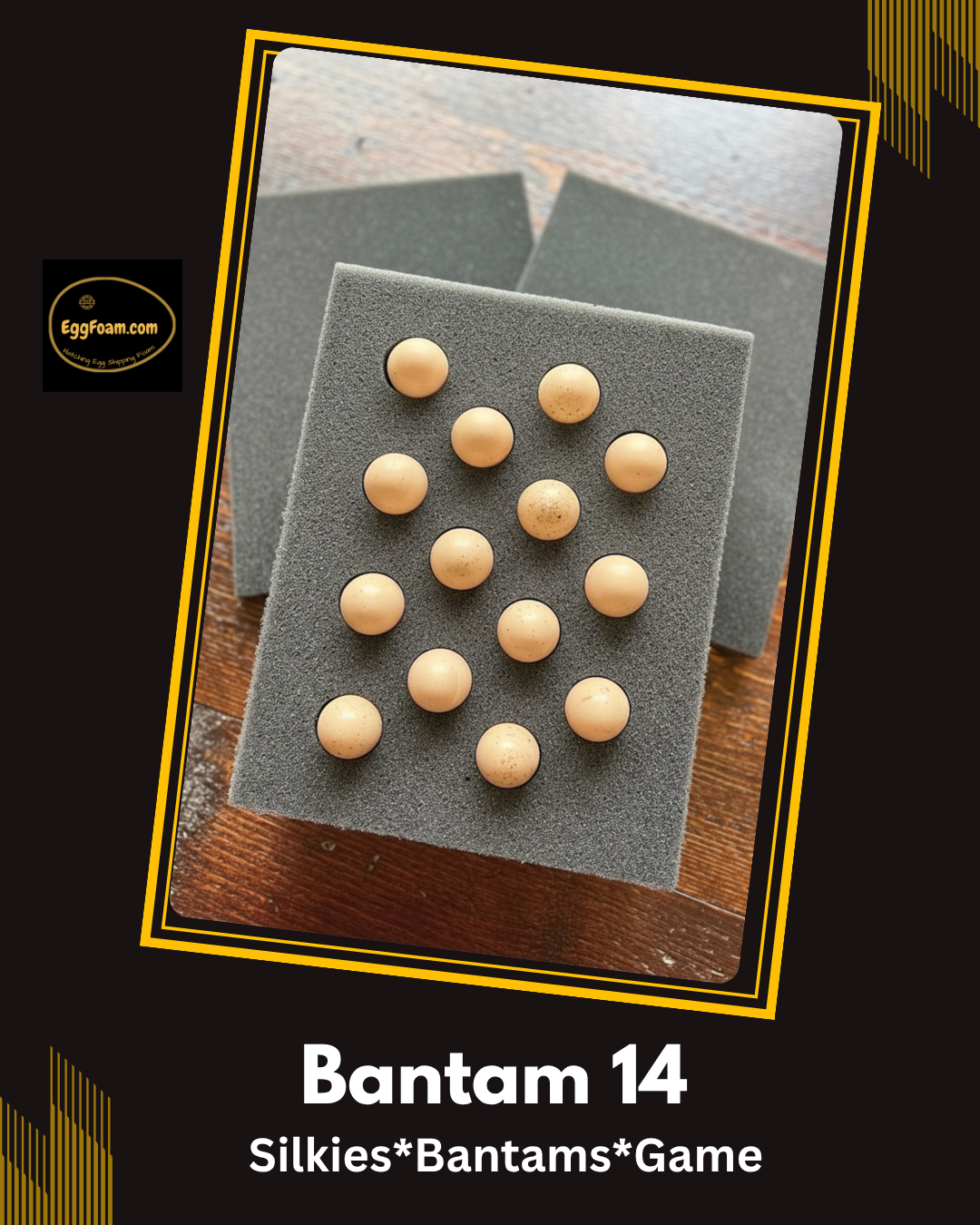 EggFoam™ 14 Hole Bantam Egg Shipper Set With Pads