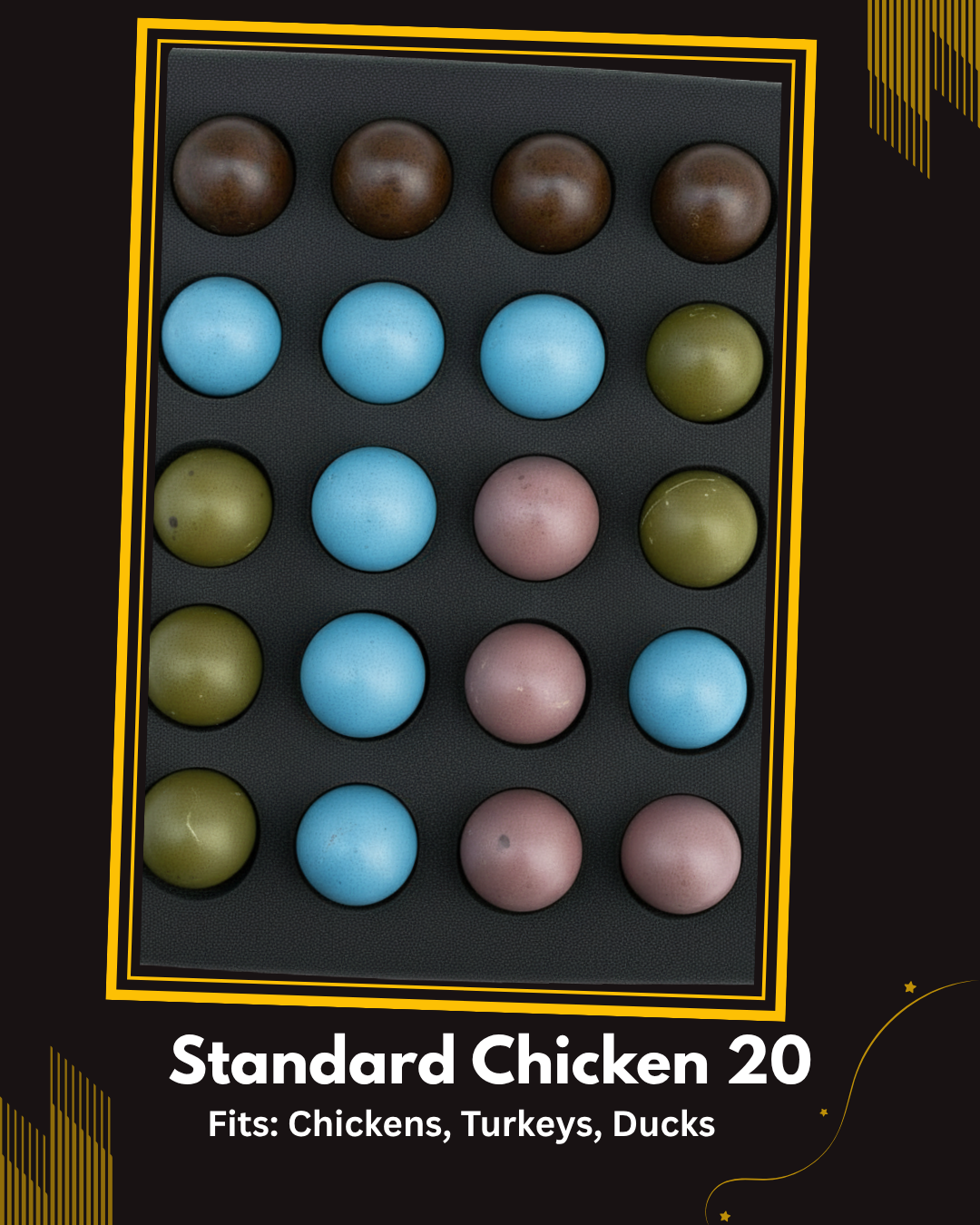 EggFoam™ 20 Hole Chicken Egg Shipper Set With Pads