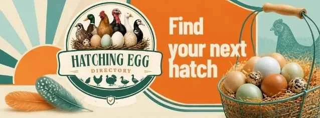 Find your next hatch with Hatching Egg Directory.