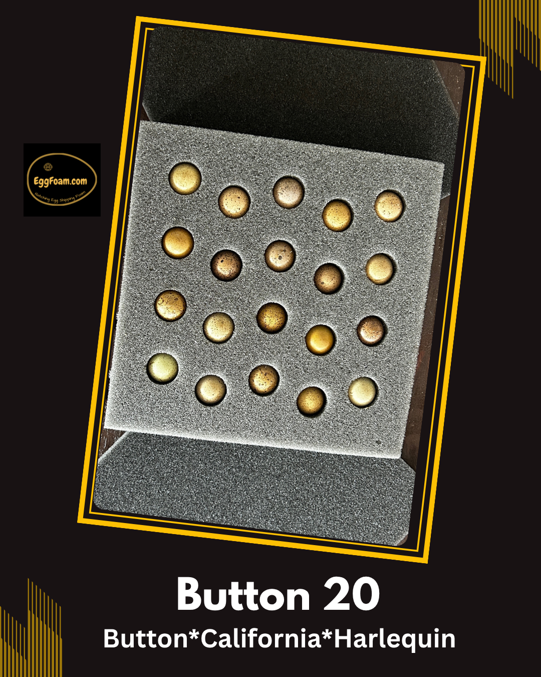 20 Hole Button Quail EggFoam™  Shippers