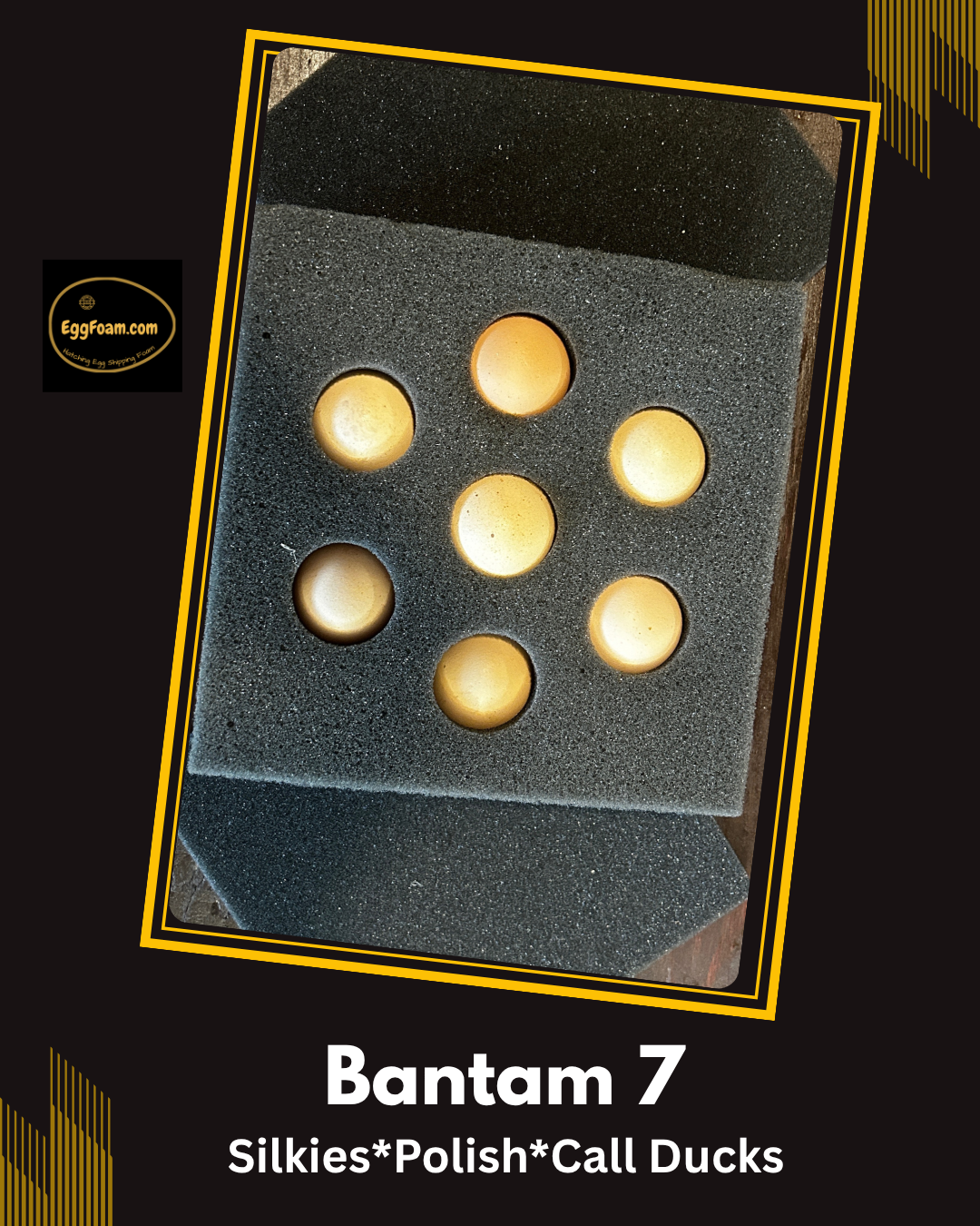 EggFoam™ 7 Hole Bantam Egg Shipper Set With Pads