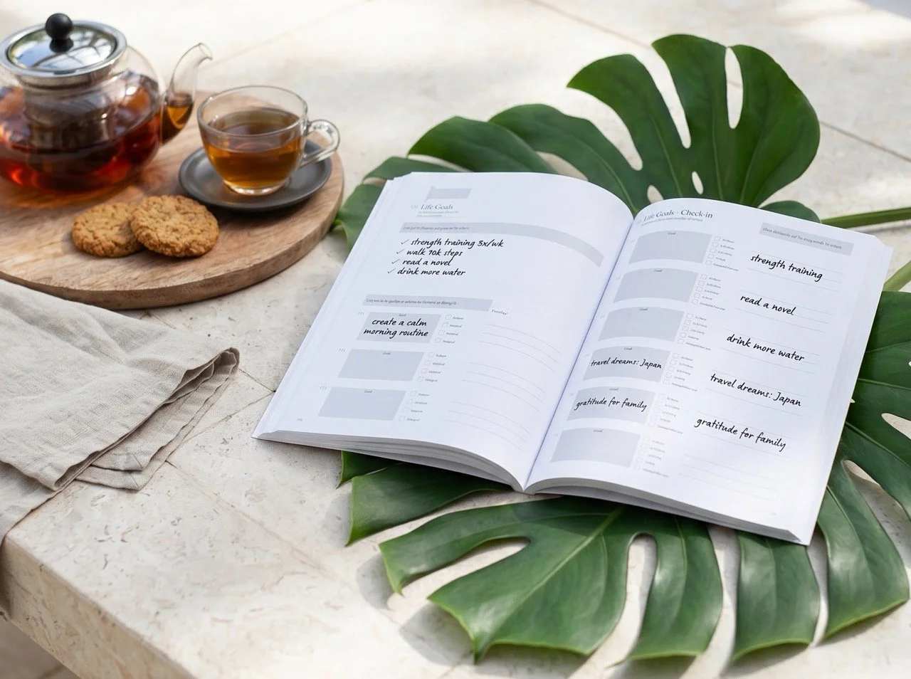 Open A Life in Goals guided journal showing a life goals check-in, with handwritten goals for wellbeing, reading, travel and gratitude.