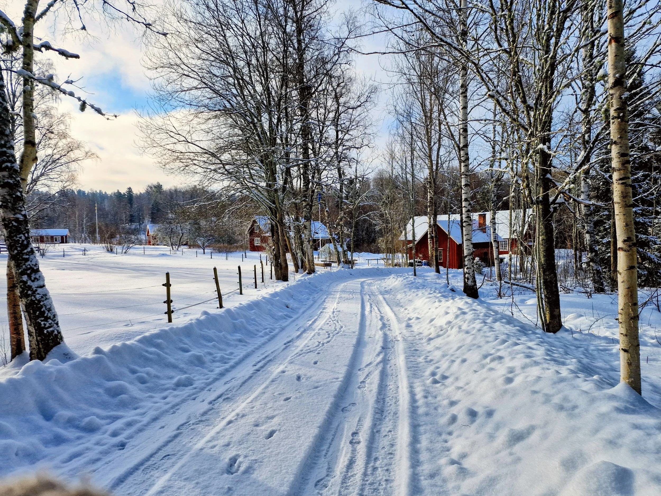 20260214_103928~2.jpg