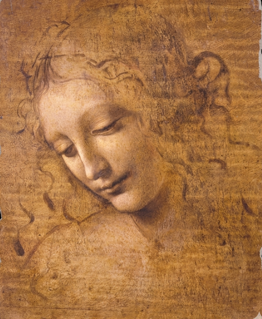 Immagine della Scapigliata di Leonardo da Vinci simbolo dei workshop e dei seminari AureaSense dedicati all'apprendimento pratico, alla condivisione di gruppo e all'acquisizione di strumenti per la crescita personale e l'evoluzione relazionale.