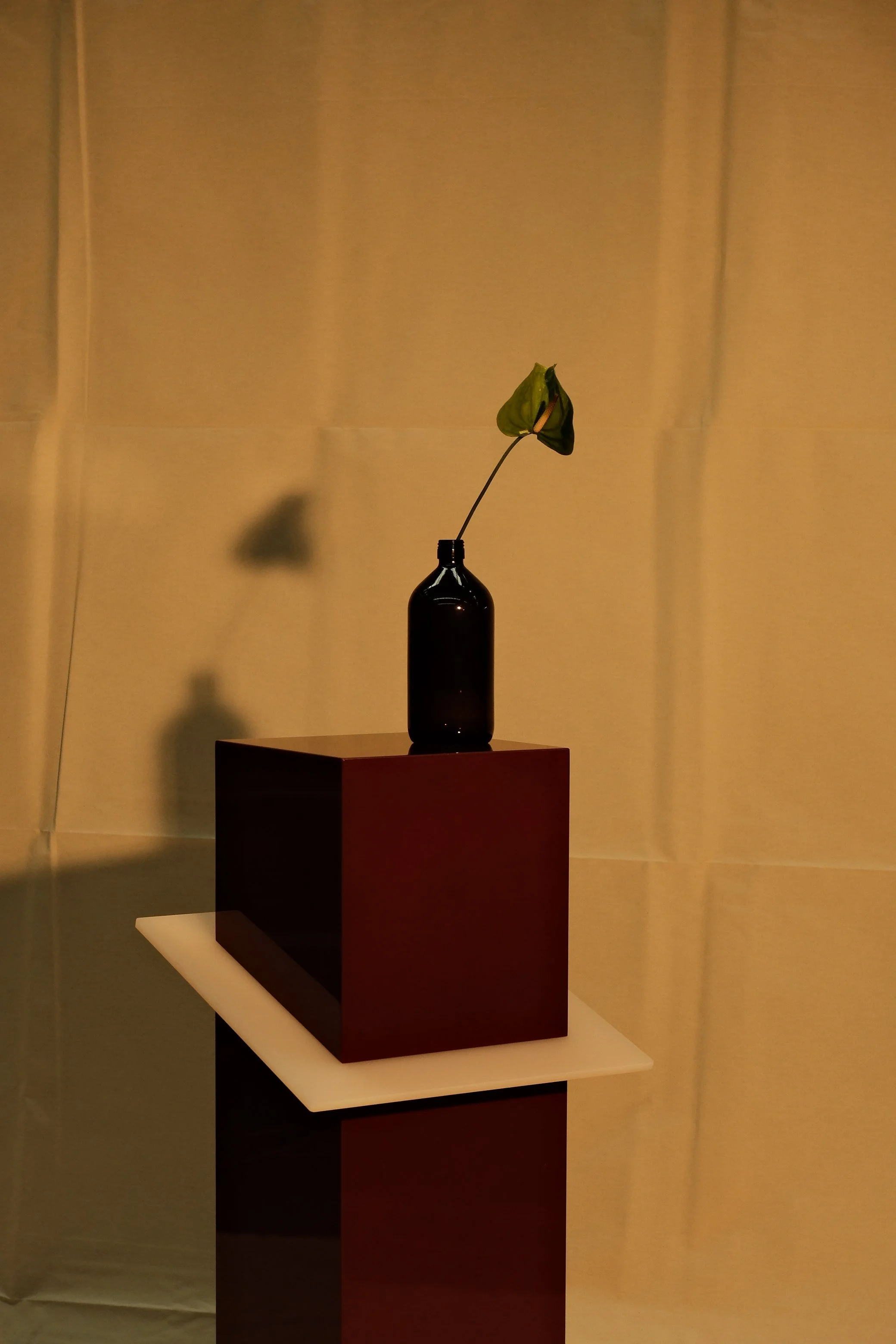 Pillar 2.JPG