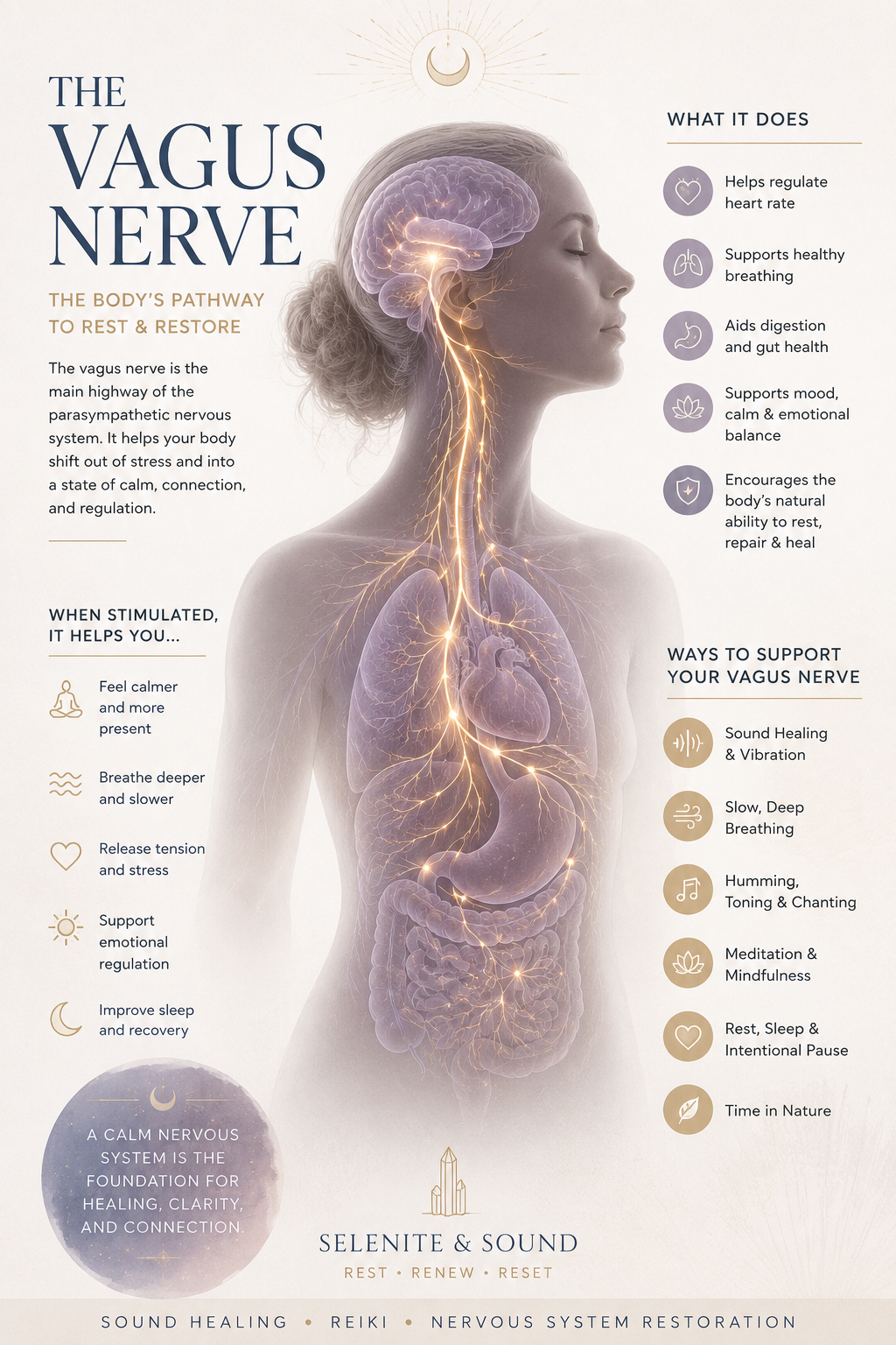 What Is the Vagus Nerve?