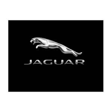 Jaguar Key Replacement