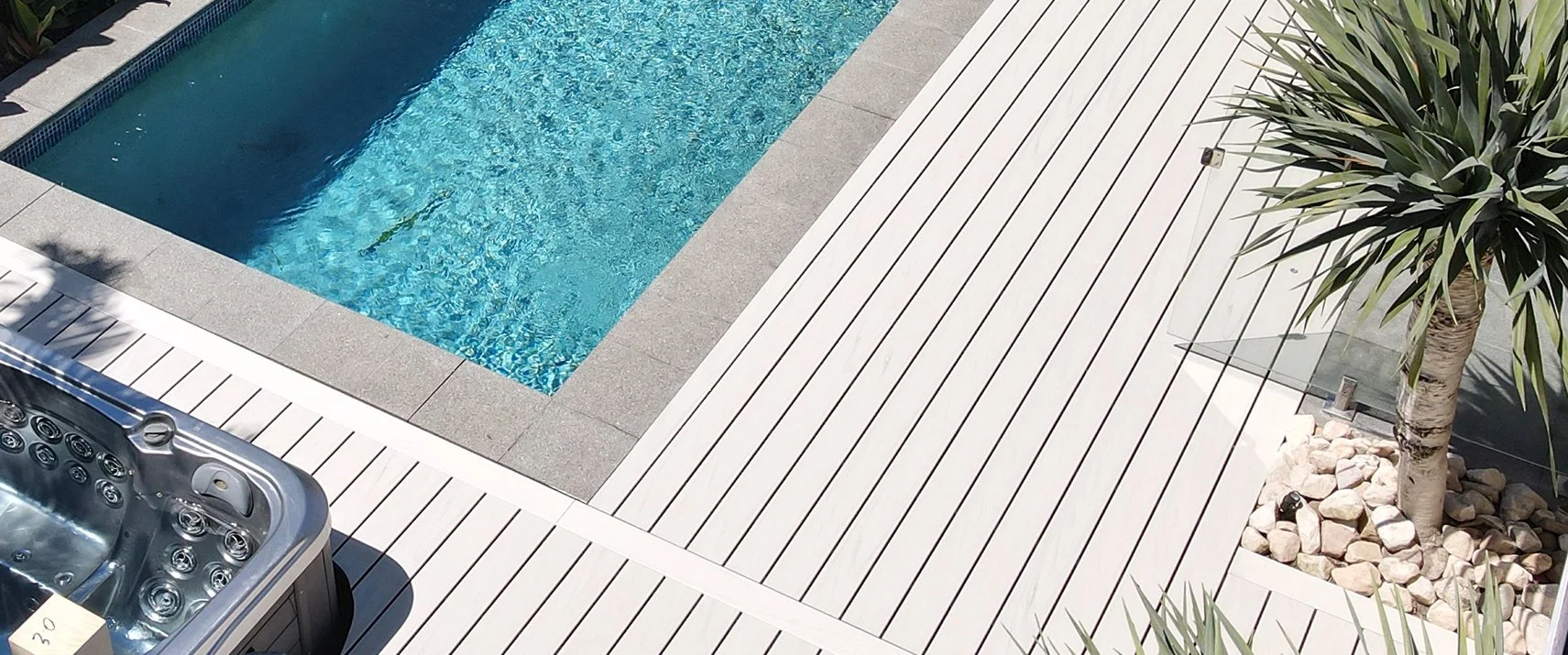 Pool beside white Trex composite salt ash deck and sculptural greenery designed by Platinum Decks to blend crisp architectural lines with lush outdoor textures