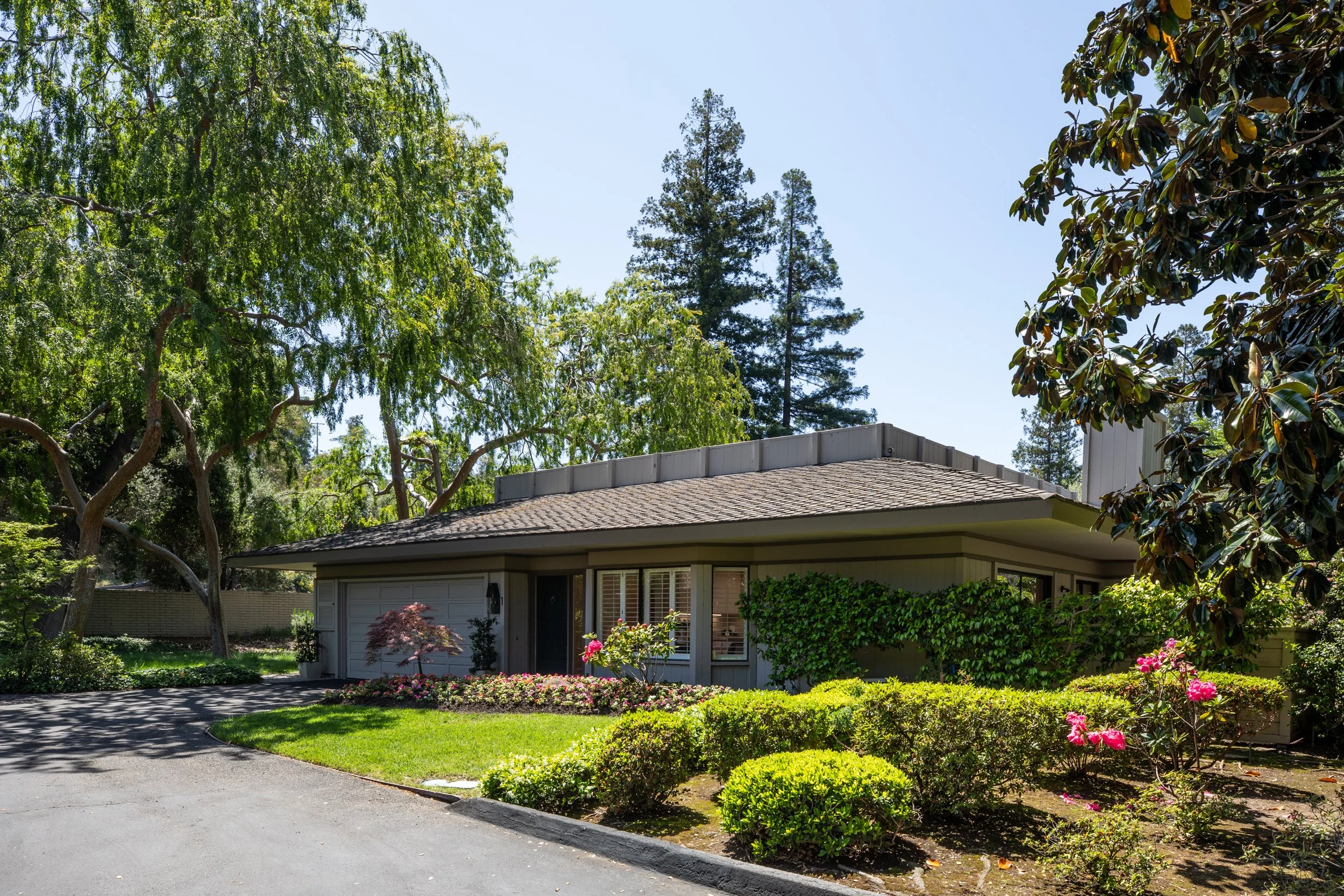 2-Bay_Matt_Anello-8658-MLS.jpg