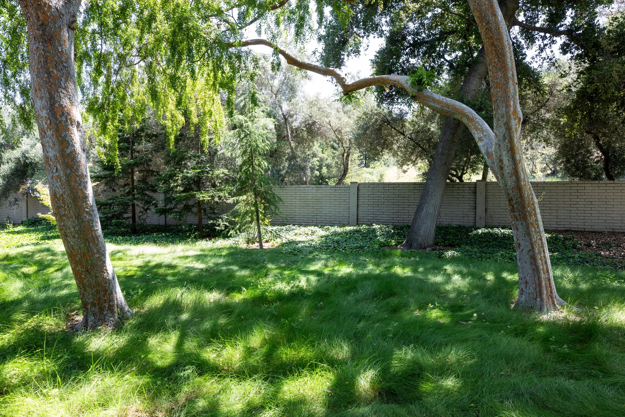 24-Bay_Matt_Anello-8663-MLS.jpg