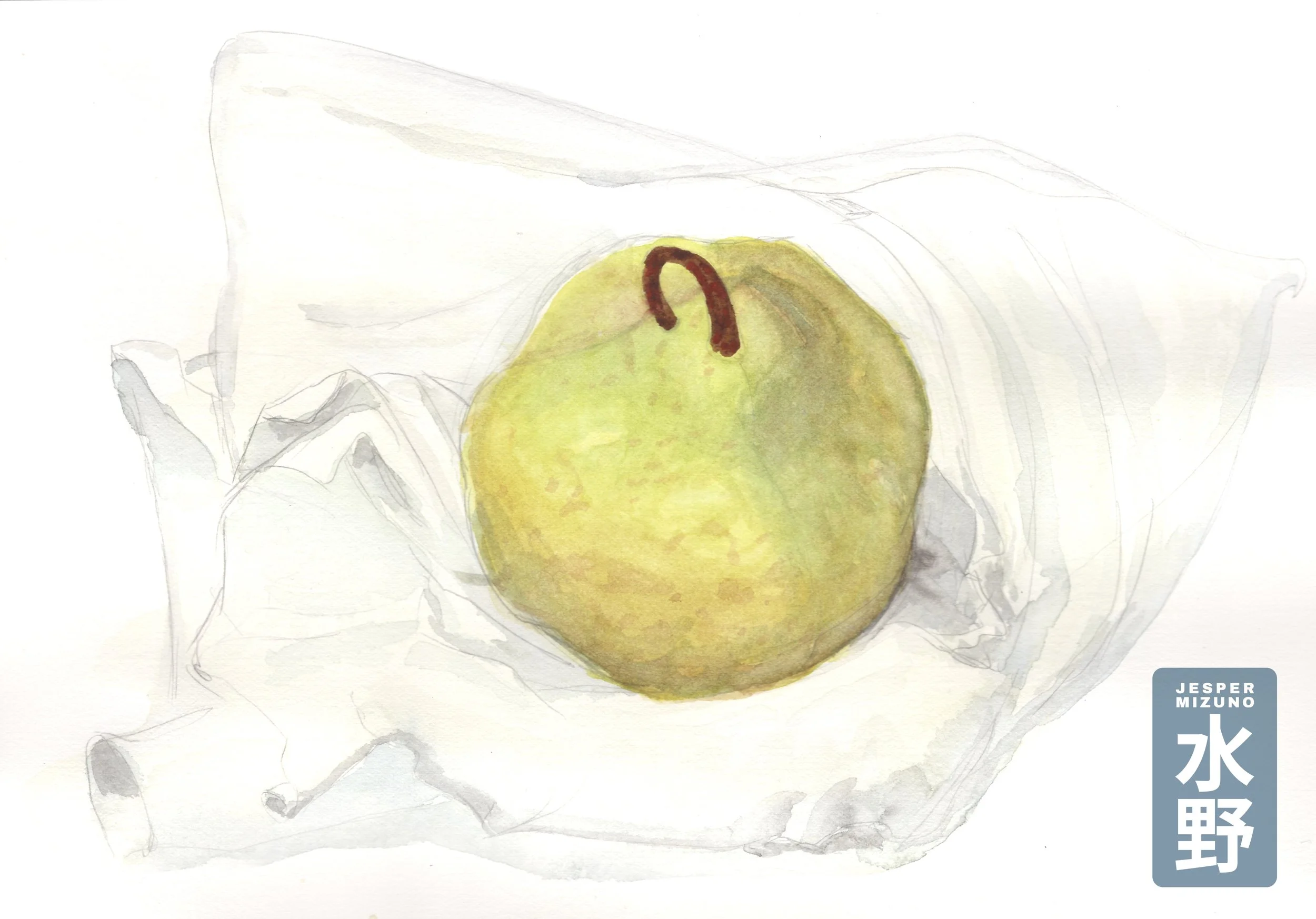“Pear From Above”, watercolor painting. 
