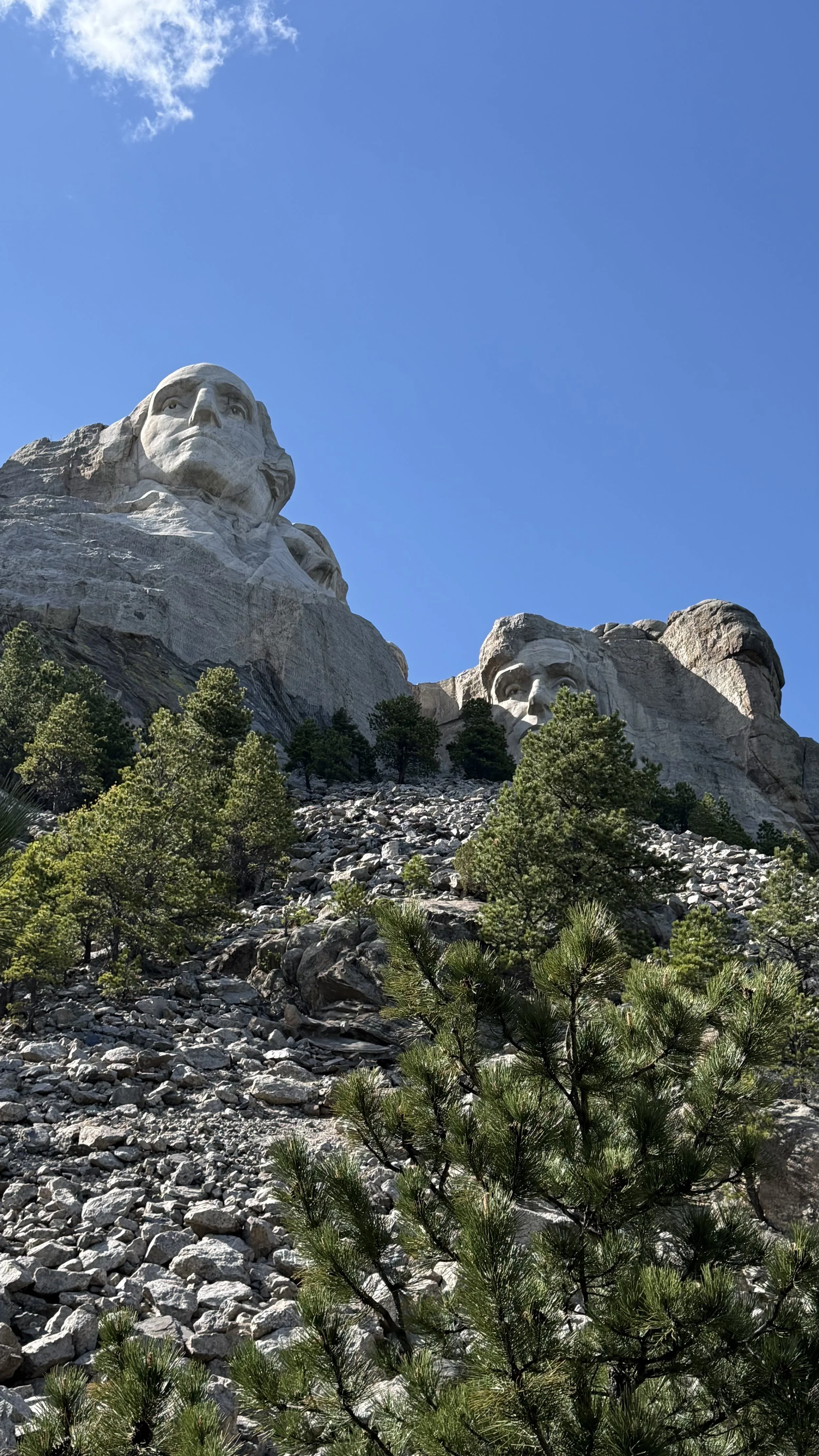 Close-up view of the granite faces of Mount Rushmore with clear blue sky, small cloud, and green pine trees in the foreground.