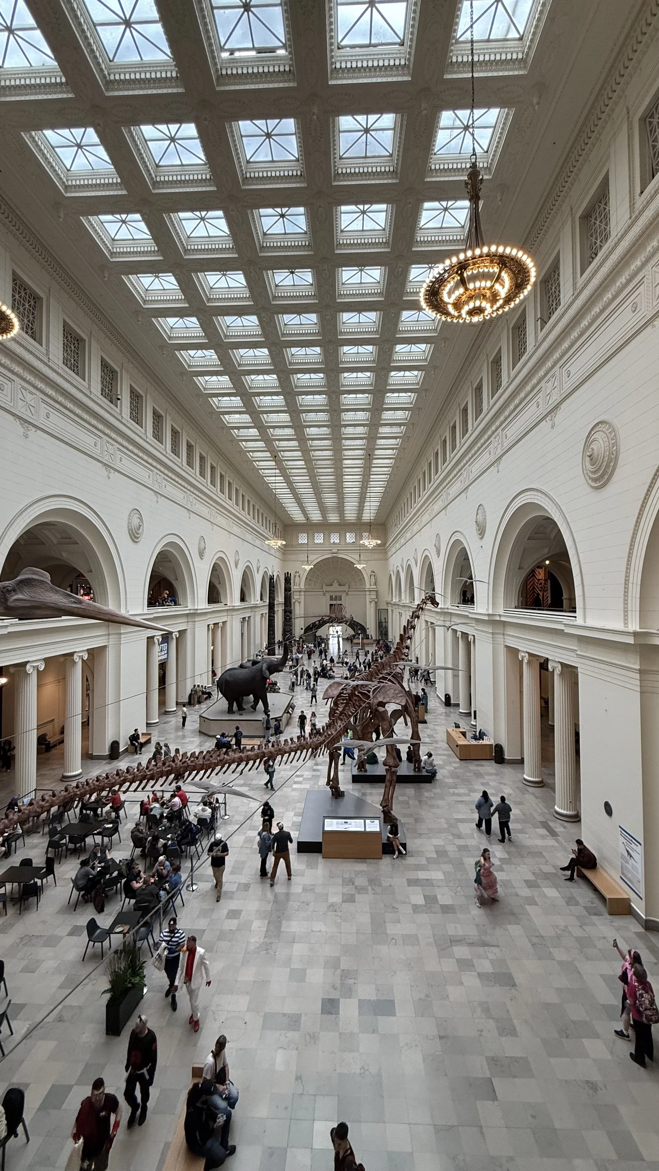 Large museum hall with a glass paneled ceiling, ornate white walls, and several dinosaur skeletons displayed in the center. Visitors are walking, sitting, and observing the exhibits.