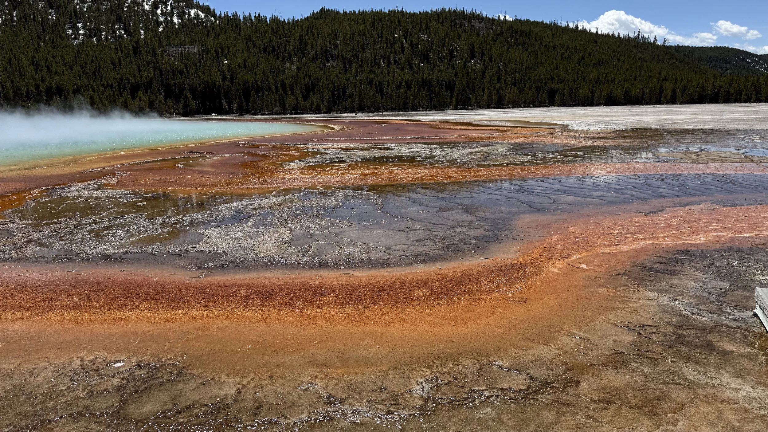 Colorful geothermal hot spring with orange, brown, and white mineral deposits in the foreground, steaming turquoise water on the left, dense green forest of pine trees in the background, and partly cloudy blue sky.